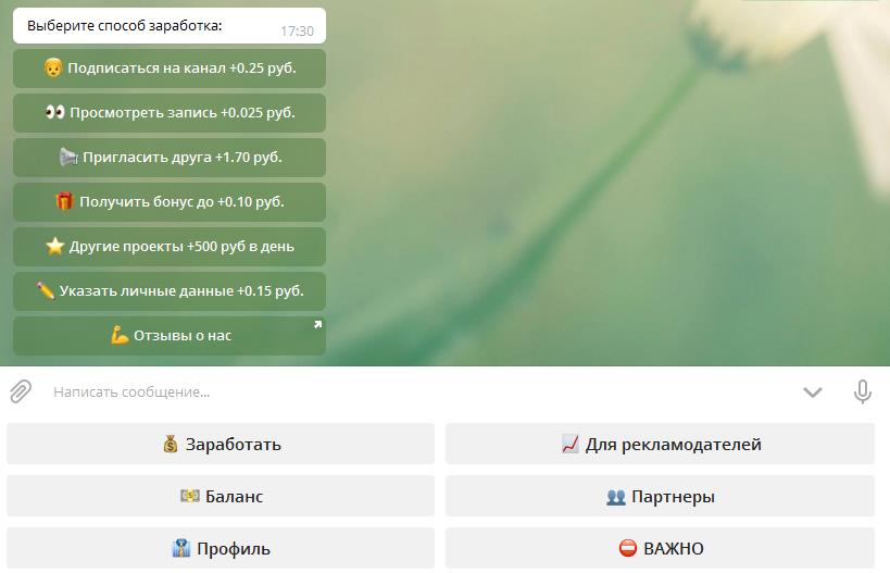TEGMO обзор